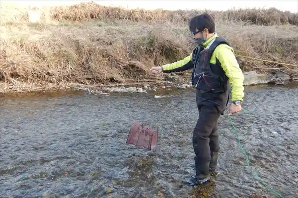 かご網