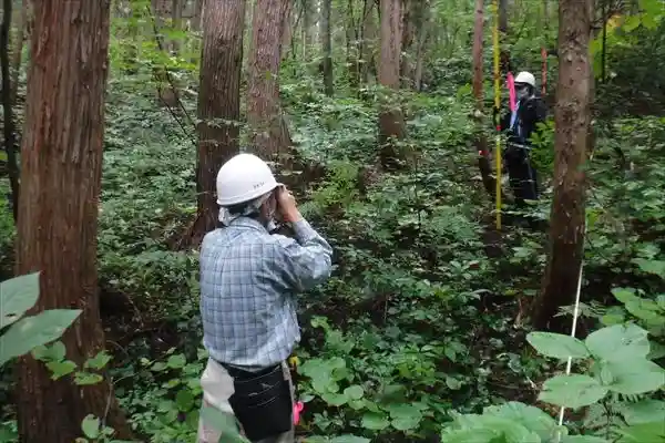 毎木調査風景