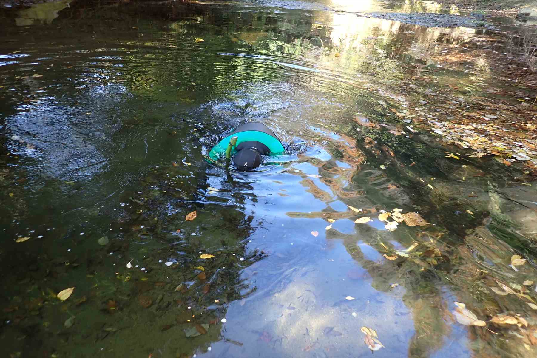 潜水調査